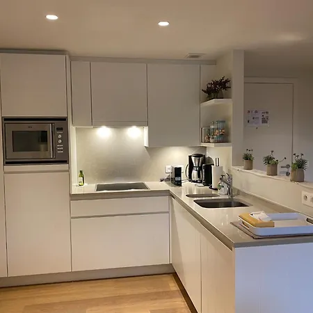 Karthuizer E4 Located Between The Dunes *