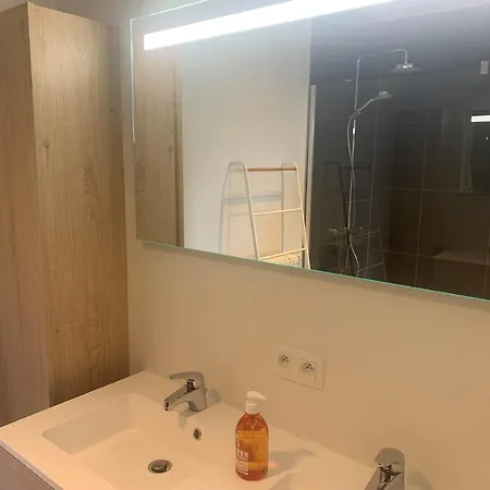Apartment Karthuizer E4 Located Between The Dunes