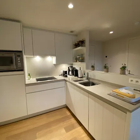 Apartment Karthuizer E4 Located Between The Dunes *