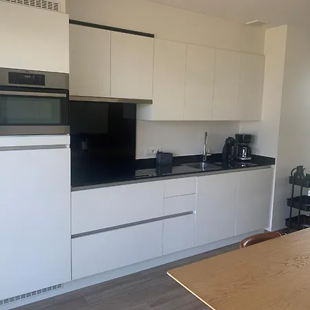 Karthuizer E4 Located Between The Dunes Nieuwpoort