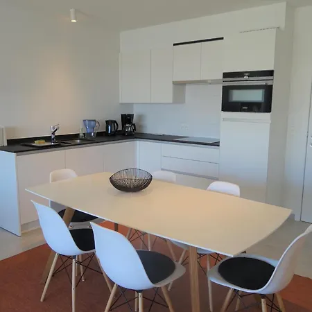 Apartment Karthuizer E4 Located Between The Dunes *