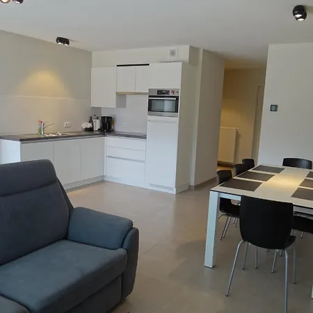 Karthuizer E4 Located Between The Dunes Apartment *
