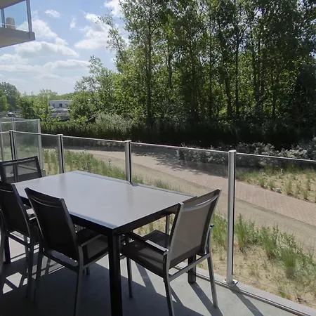 Apartment Karthuizer E4 Located Between The Dunes *