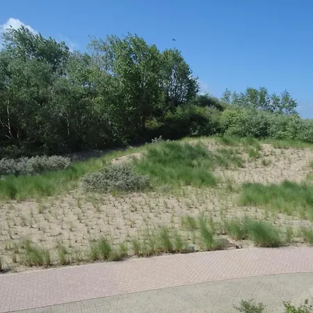 In Near The דירה ניופורט