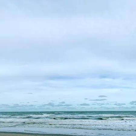 דירה In Near The ניופורט