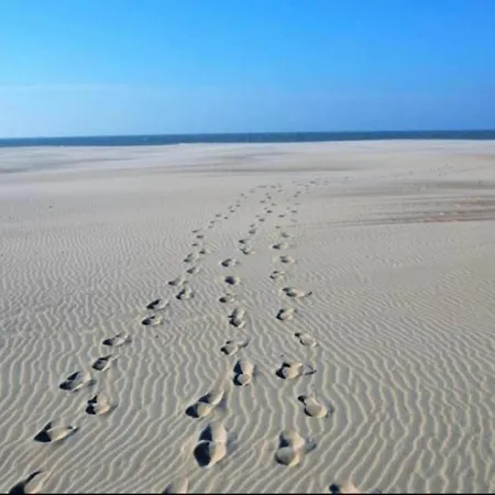 Karthuizer E4 Located Between The Dunes * Nieuwpoort